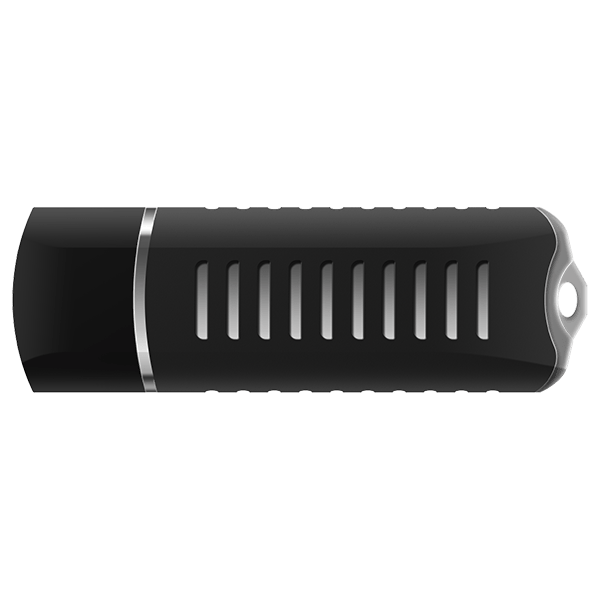 Feitian StorePass2003 (G12) USB Token with Storage - FEITIAN Technologies US